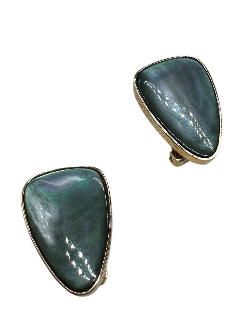 Vintage Clip-on Earrings Abalone Shells Incased Gold Tone